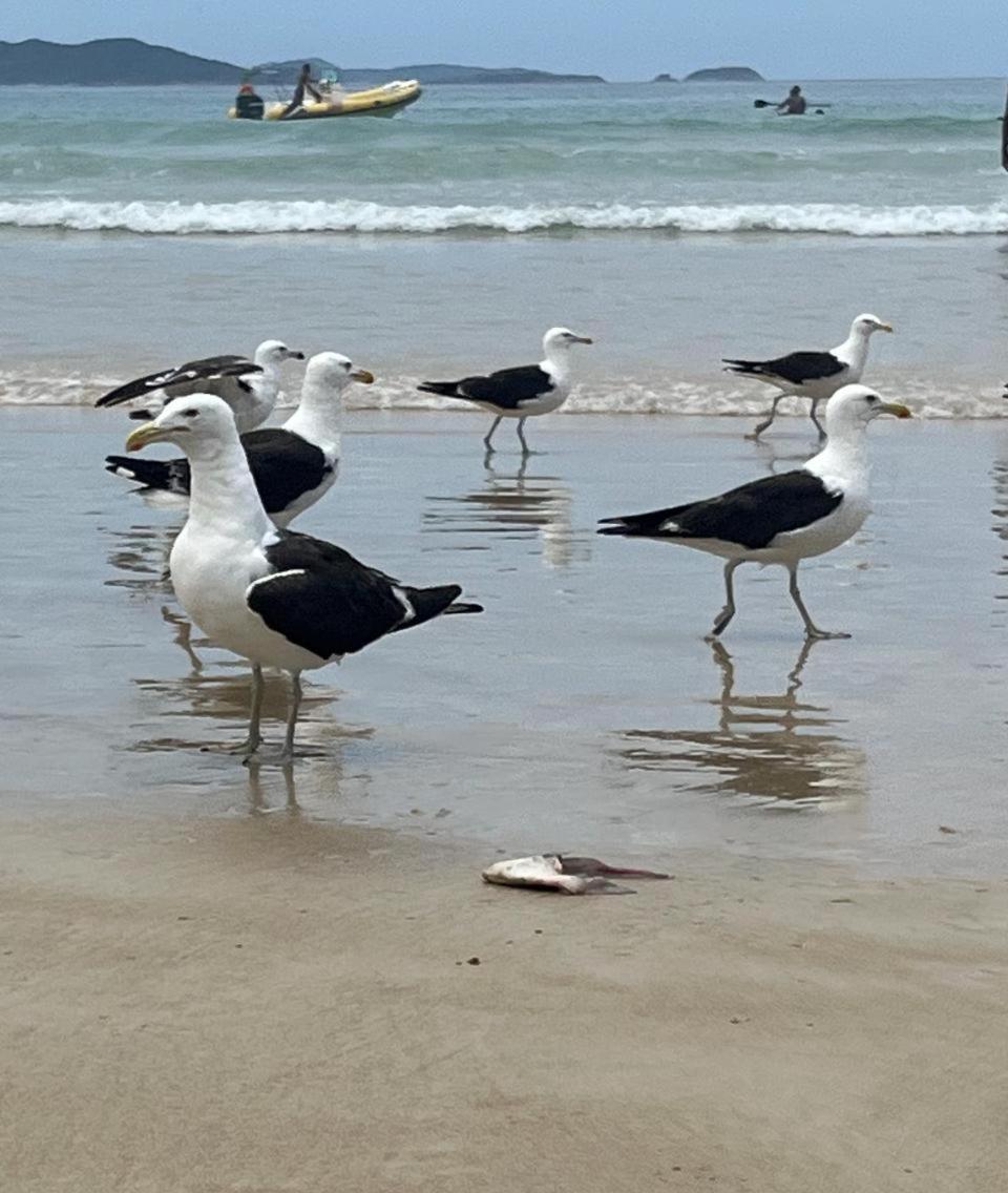 Vila Casa No Pero - Cabo Frio Exteriér fotografie